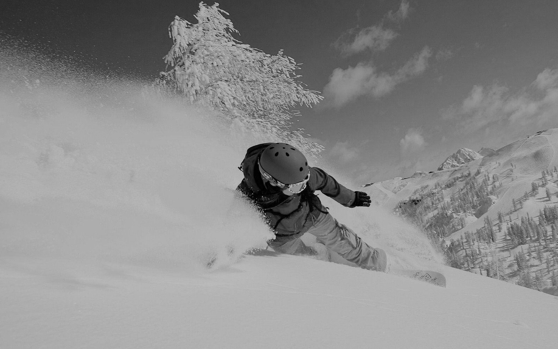 Ski / Snowboard